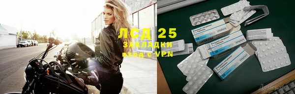 индика Нягань