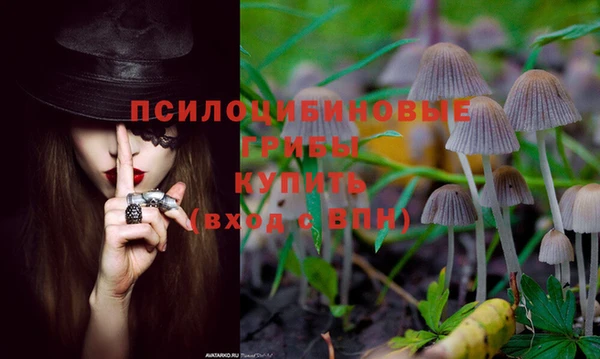 скорость Осинники