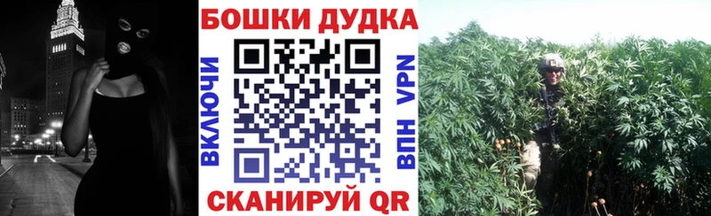 MEGA зеркало Циолковский Марихуана марихуана
